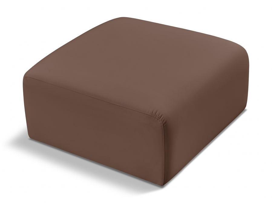 101Brown-Ott
