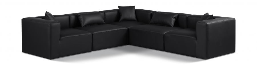 668Black-Sec5C