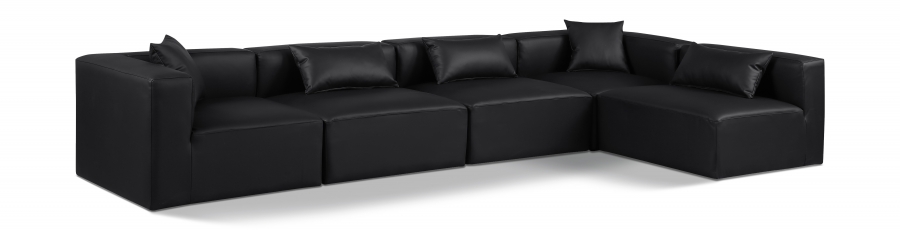 668Black-Sec5D