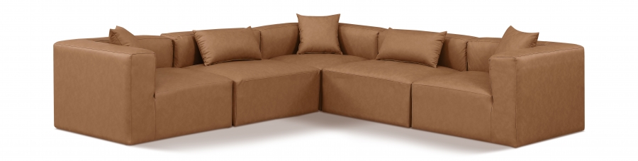 668Brown-Sec5C