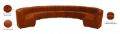 645Cognac-11PC Infographic