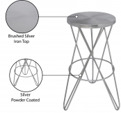 948Silver Infographic