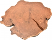 258-CT alternate view 4