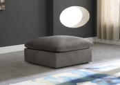 634Grey-Ott alternate view 1