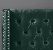 AidenGreen-Q alternate view 6