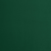 HarlieGreen-T alternate view 6