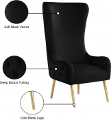 536Black Infographic
