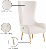 536Cream Infographic