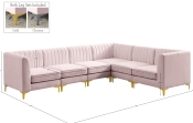 604Pink-Sec6A Dim