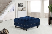 667Navy-Ott alternate view 1