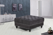 667Grey-Ott alternate view 1