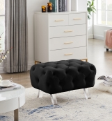 568Black-Ott alternate view 1