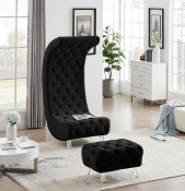 568Black-Ott alternate view 3