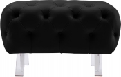 568Black-Ott alternate view 4