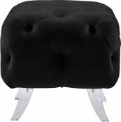 568Black-Ott alternate view 6