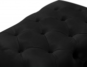 568Black-Ott alternate view 8