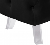 568Black-Ott alternate view 9