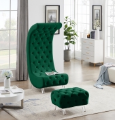 568Green-Ott alternate view 3