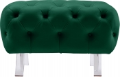 568Green-Ott alternate view 4