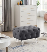568Grey-Ott alternate view 1