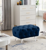 568Navy-Ott alternate view 1