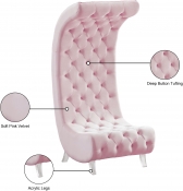 568Pink-C Infographic