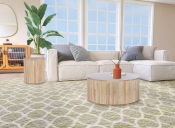 276-CT Lifestyle Set