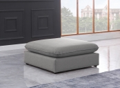 688Grey-Ott alternate view 1