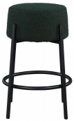 821Green-C alternate view 2