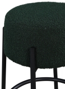 821Green-C alternate view 3
