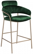 550Green-C