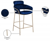 550Navy-C Infographic