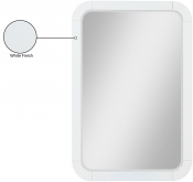 873White-M Infographic