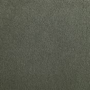 648Green-L alternate view 8