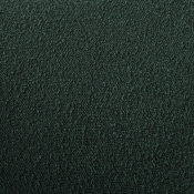 558Green alternate view 5