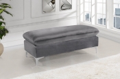 636Grey-Ott alternate view 1