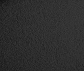 RudyBlack-T alternate view 6