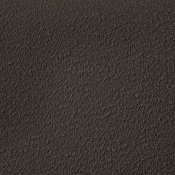 NashBrown-F alternate view 7