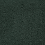 NashGreen-T alternate view 7