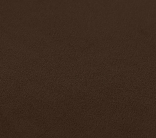 665Brown-L alternate view 14