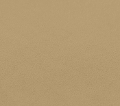 665Camel-C alternate view 14