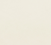 665Cream-S alternate view 14