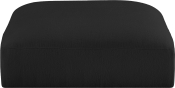 696Black-Ott alternate view 2