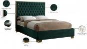 LanaGreen-K Infographic