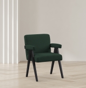 481Green alternate view 1