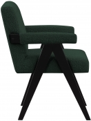 481Green alternate view 4