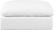 187White-Ott alternate view 2