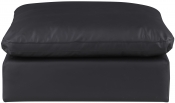 188Black-Ott alternate view 2
