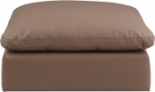 188Brown-Ott alternate view 2