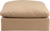 188Tan-Ott alternate view 2